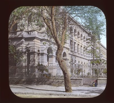 Egypte - Bedoeïenen, Alexandrië door American Photographer